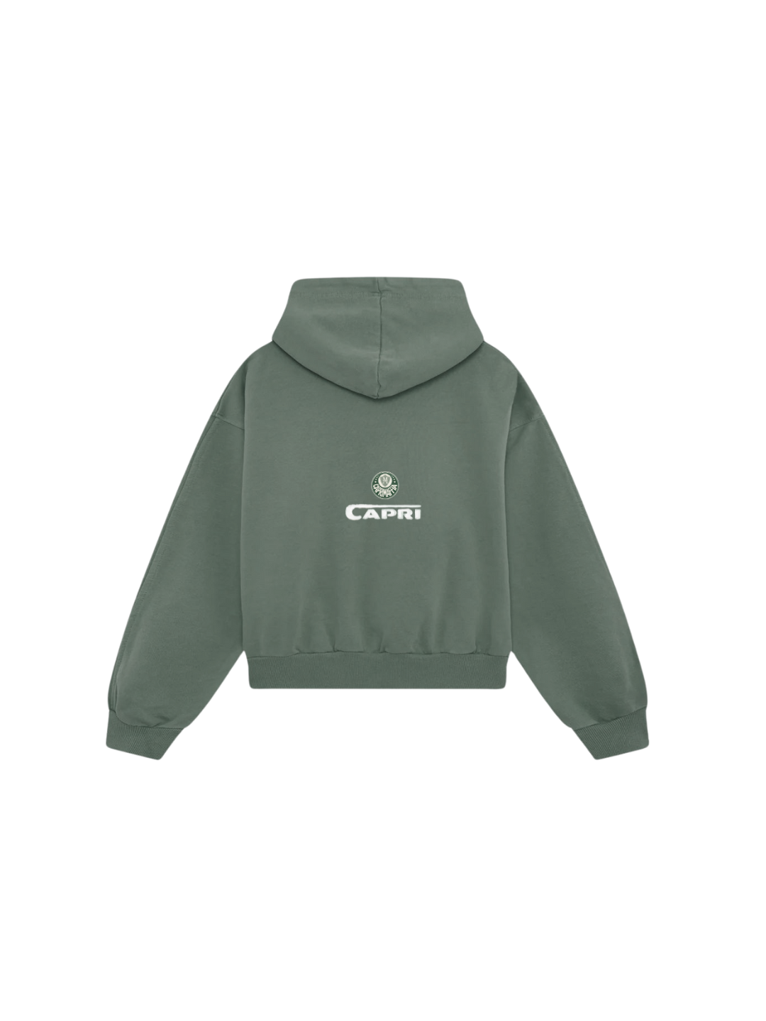 AS2.0 GREEN HOODIE