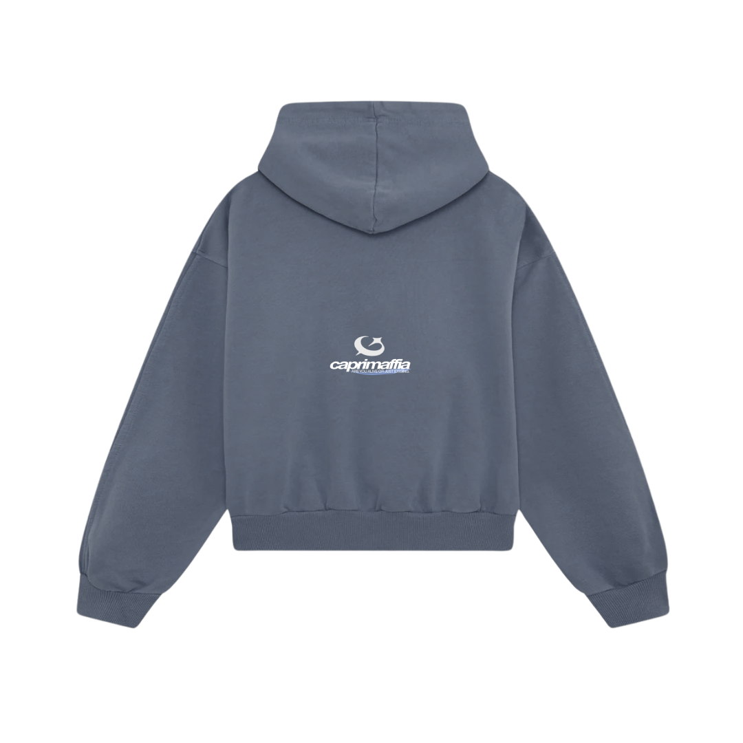 FW25 BLUE HOODIE