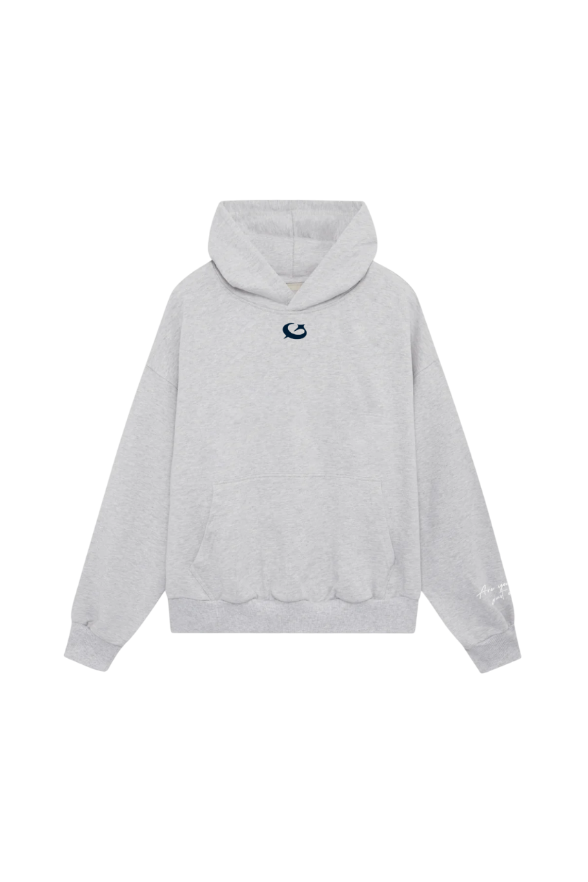 LUSH GRAY HOODIE