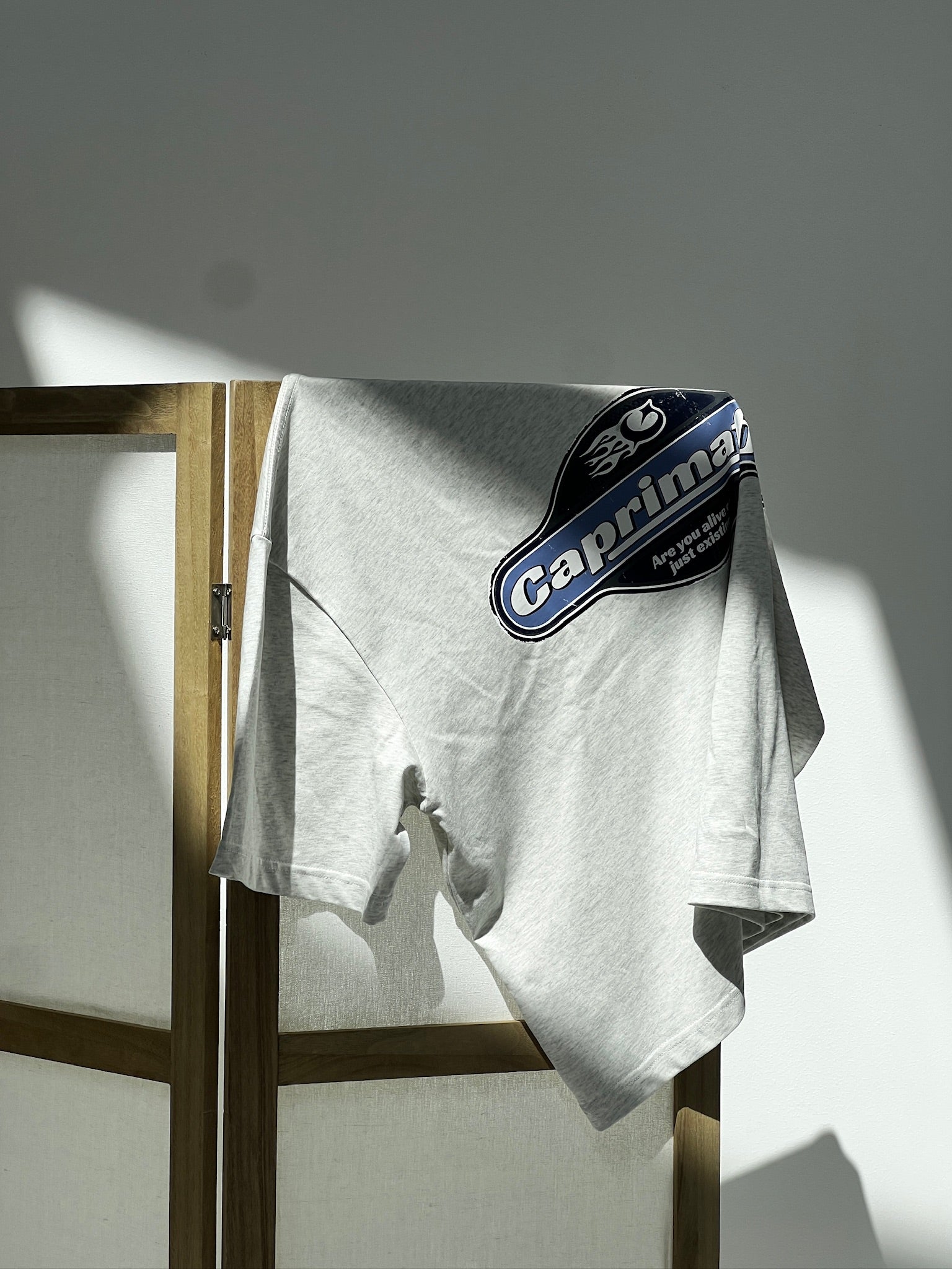 Camiseta Gris Oversized BAJAMAR SS26 — look SS26