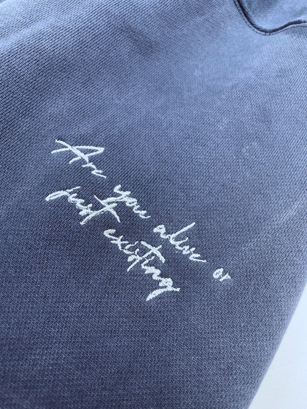 ESSENTIAL BLUE HOODIE