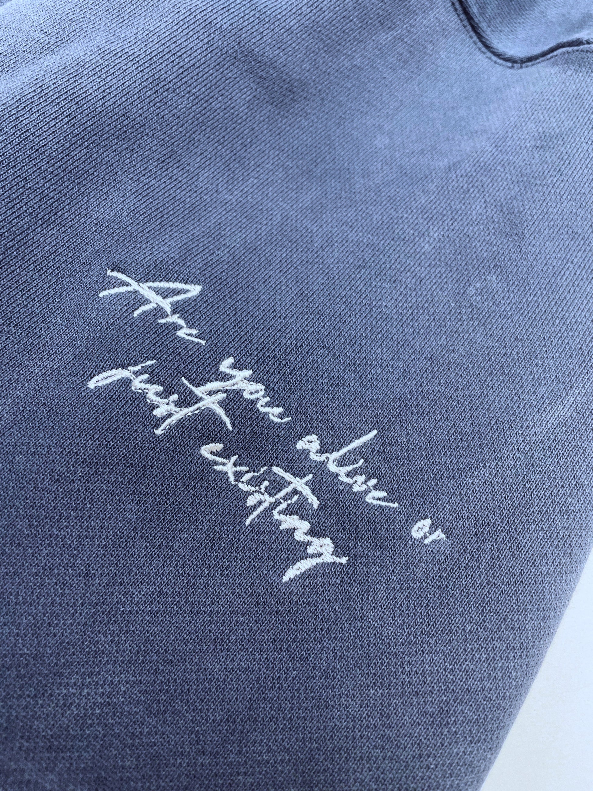 ESSENTIAL BLUE HOODIE